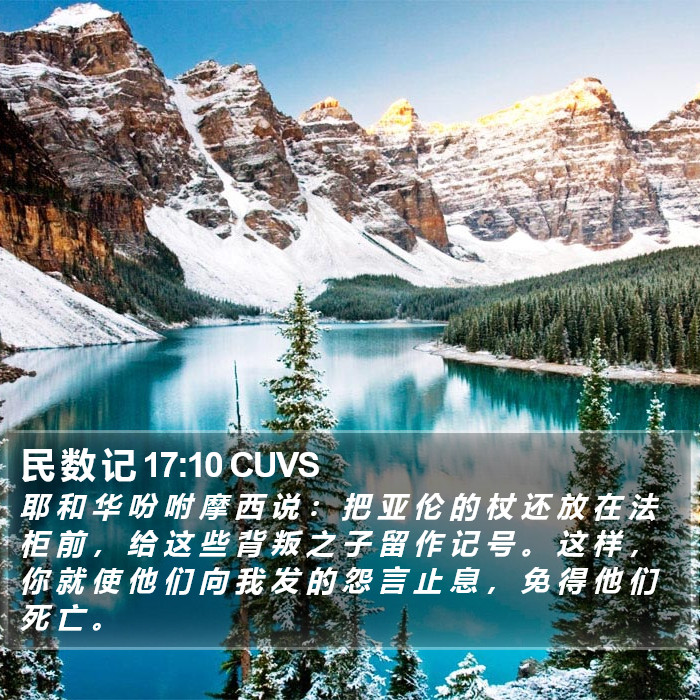 民 数 记 17:10 CUVS Bible Study