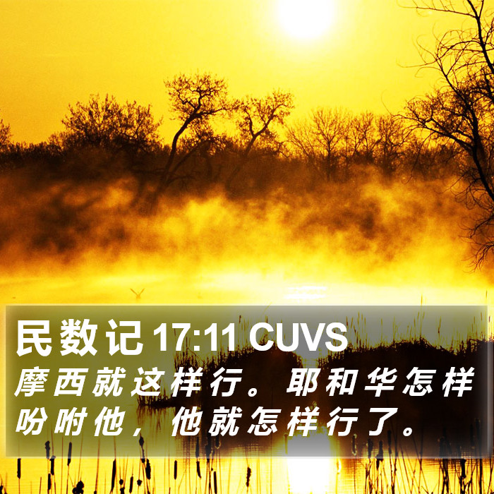 民 数 记 17:11 CUVS Bible Study