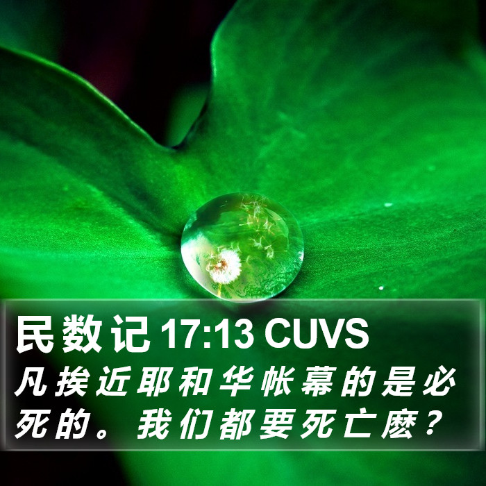 民 数 记 17:13 CUVS Bible Study
