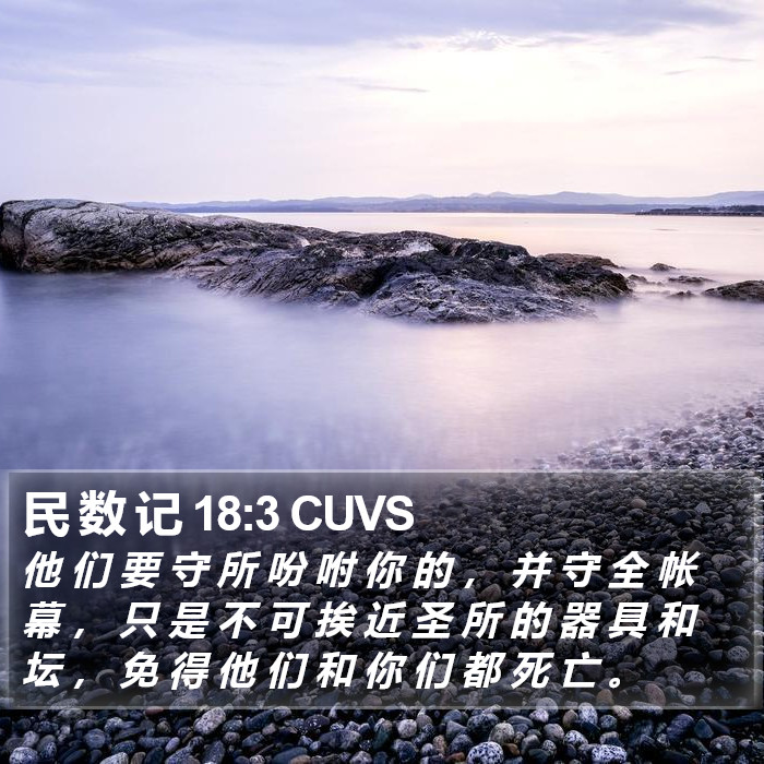 民 数 记 18:3 CUVS Bible Study