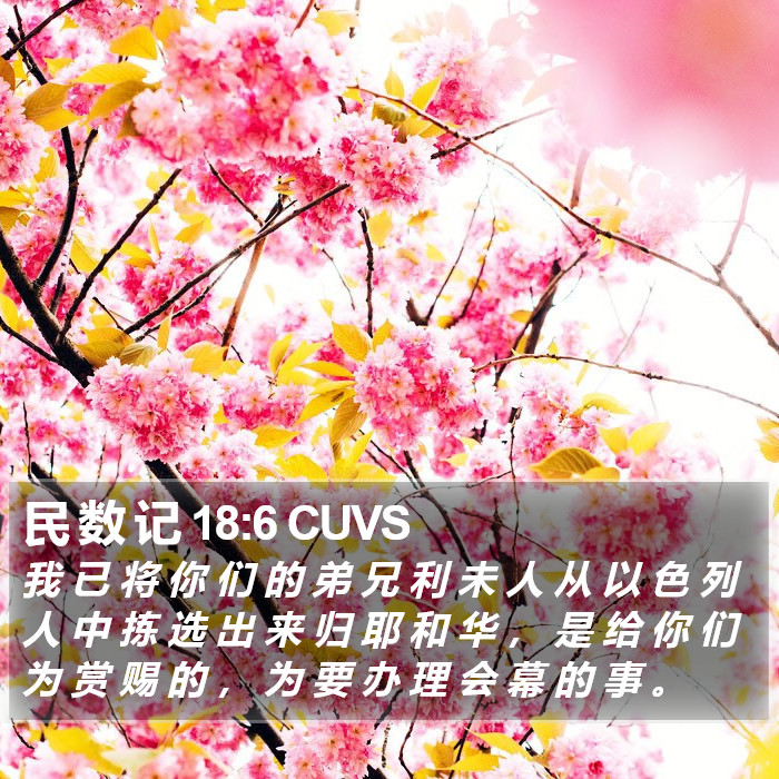 民 数 记 18:6 CUVS Bible Study