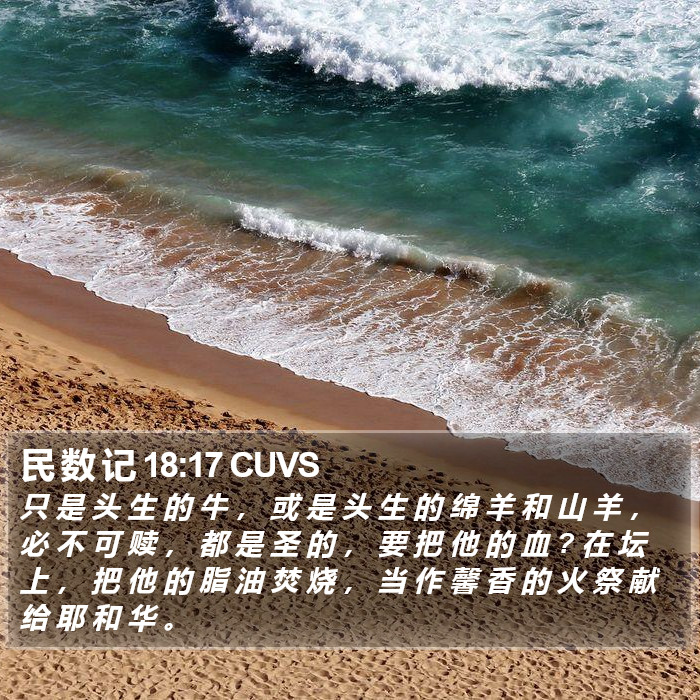 民 数 记 18:17 CUVS Bible Study