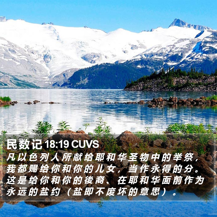 民 数 记 18:19 CUVS Bible Study