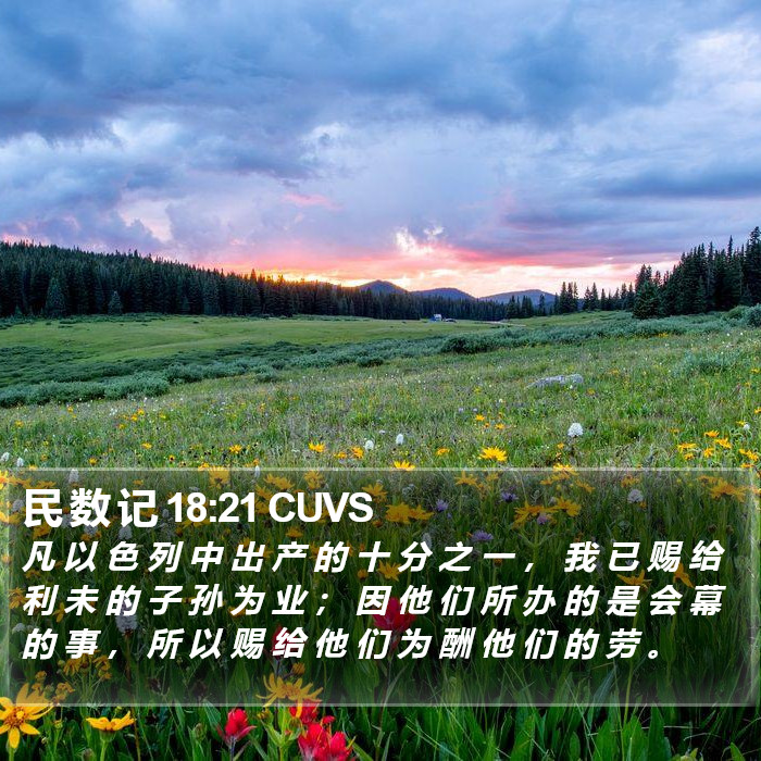 民 数 记 18:21 CUVS Bible Study
