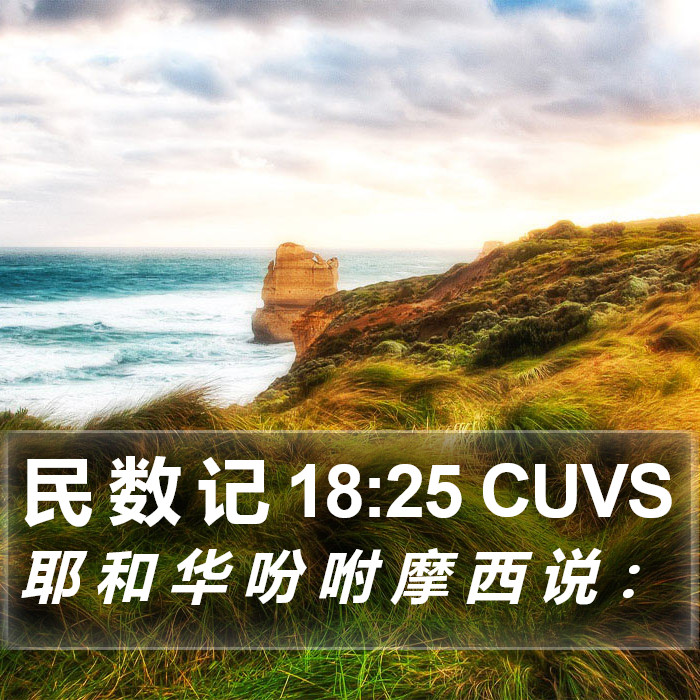 民 数 记 18:25 CUVS Bible Study