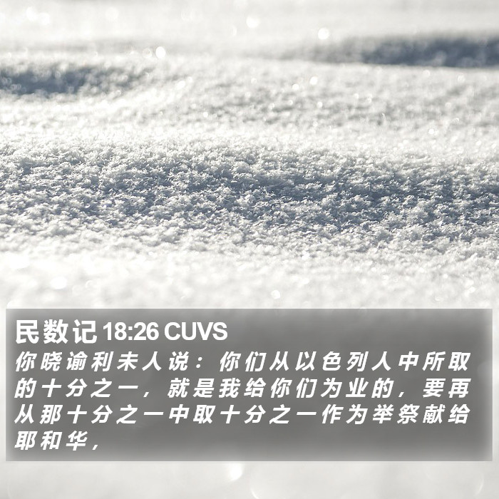 民 数 记 18:26 CUVS Bible Study