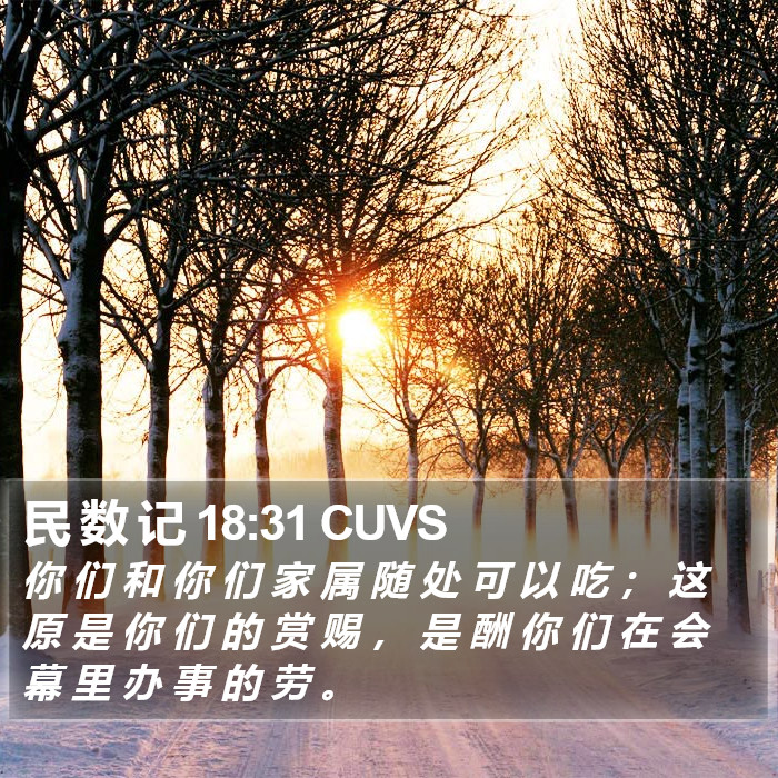 民 数 记 18:31 CUVS Bible Study