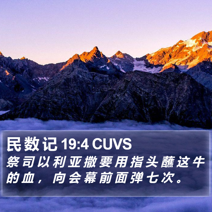 民 数 记 19:4 CUVS Bible Study