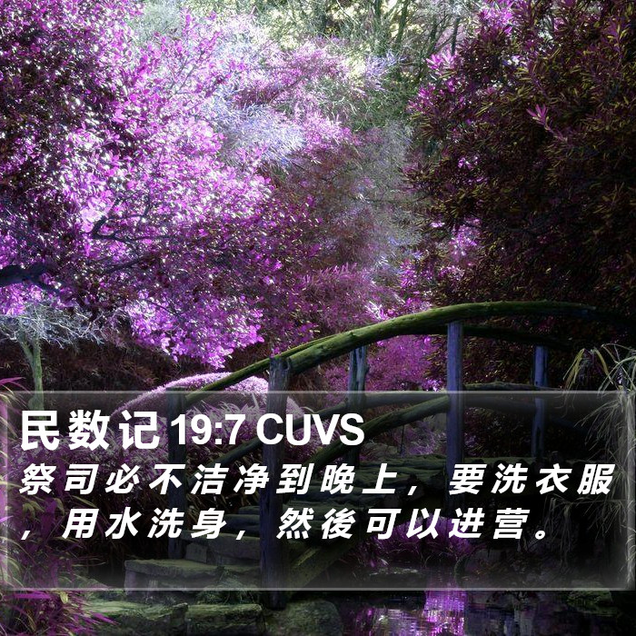 民 数 记 19:7 CUVS Bible Study