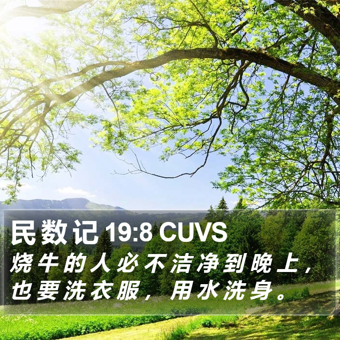 民 数 记 19:8 CUVS Bible Study