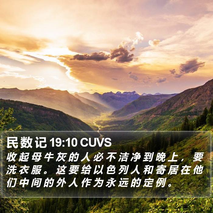 民 数 记 19:10 CUVS Bible Study