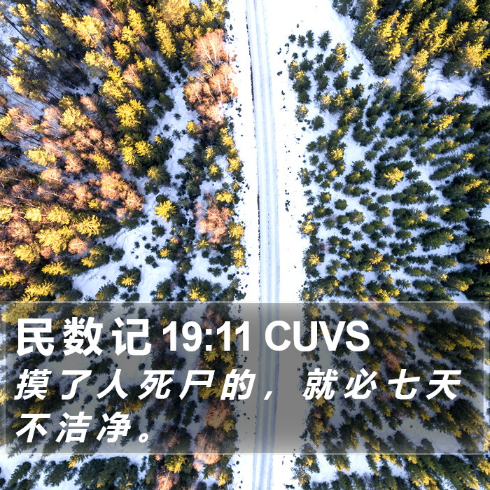 民 数 记 19:11 CUVS Bible Study