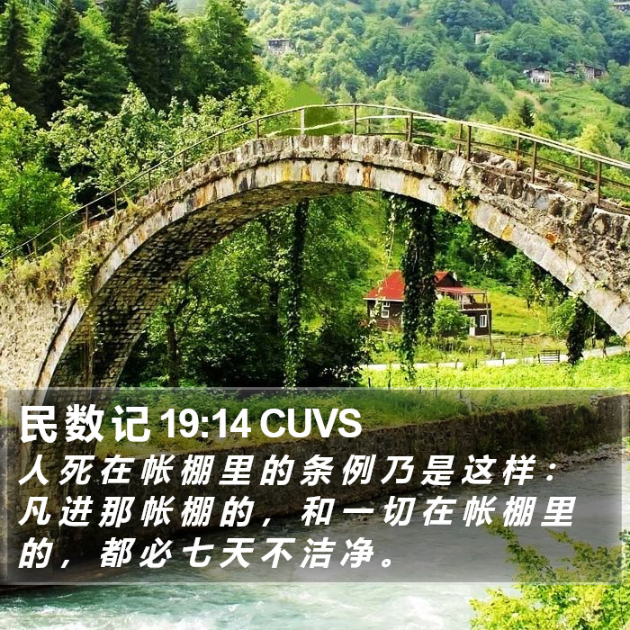 民 数 记 19:14 CUVS Bible Study