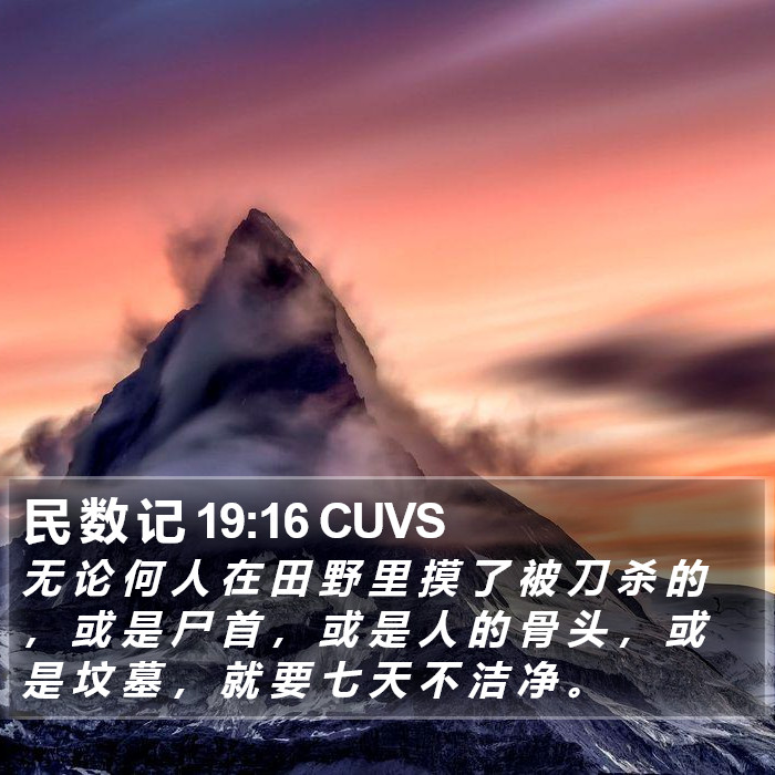 民 数 记 19:16 CUVS Bible Study