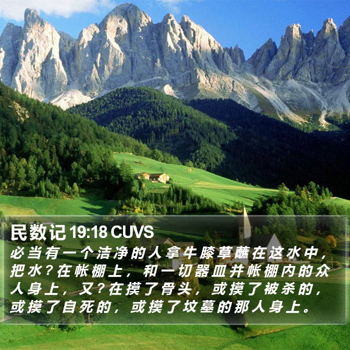 民 数 记 19:18 CUVS Bible Study