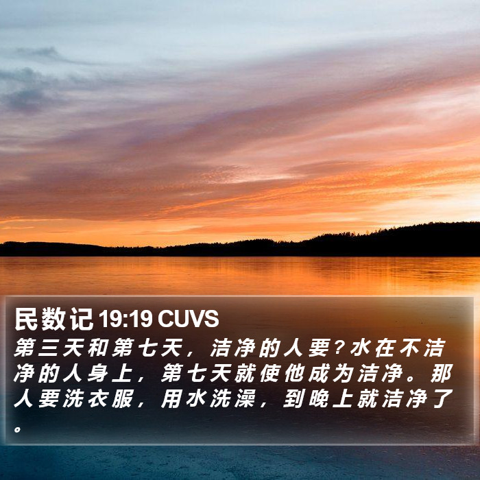 民 数 记 19:19 CUVS Bible Study