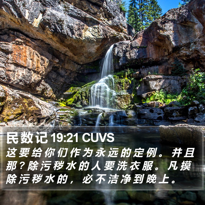 民 数 记 19:21 CUVS Bible Study