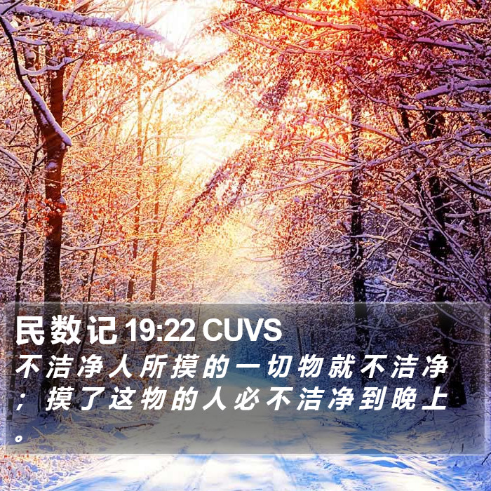 民 数 记 19:22 CUVS Bible Study