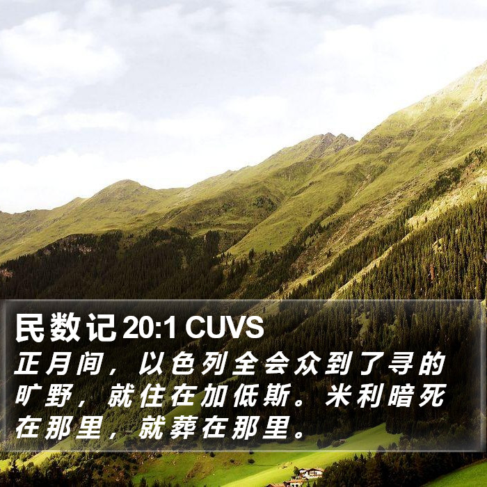 民 数 记 20:1 CUVS Bible Study