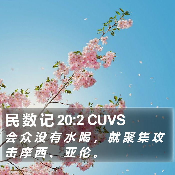 民 数 记 20:2 CUVS Bible Study