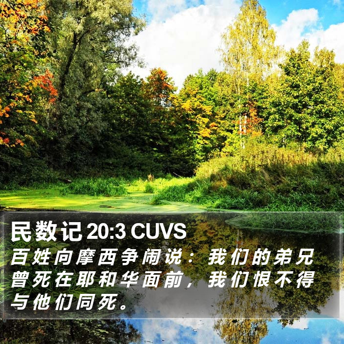 民 数 记 20:3 CUVS Bible Study
