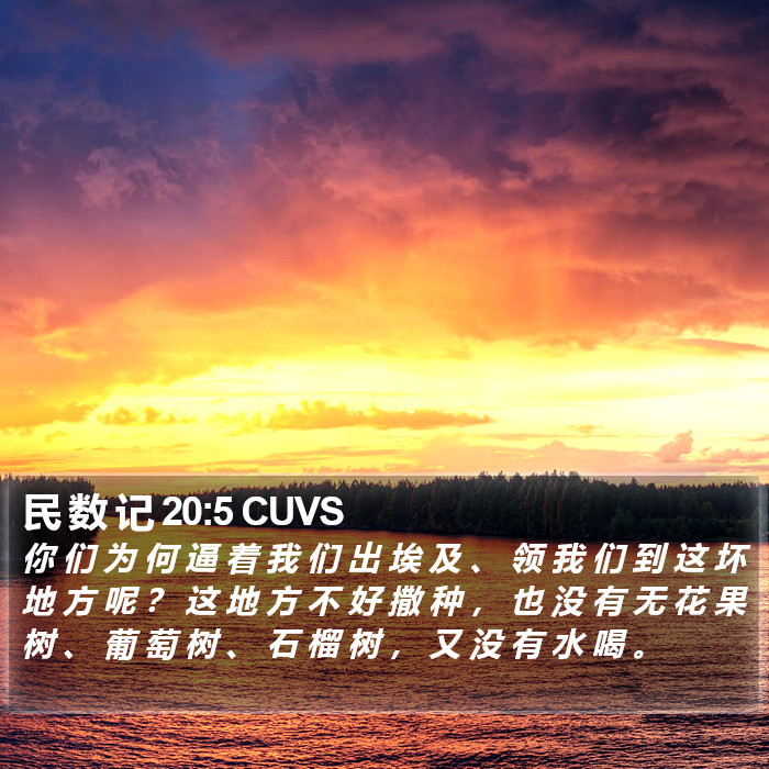 民 数 记 20:5 CUVS Bible Study