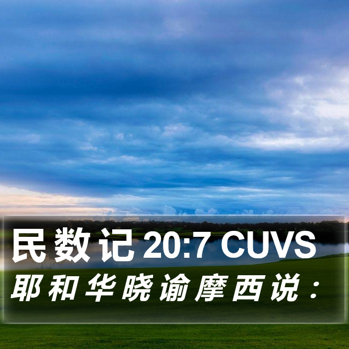 民 数 记 20:7 CUVS Bible Study