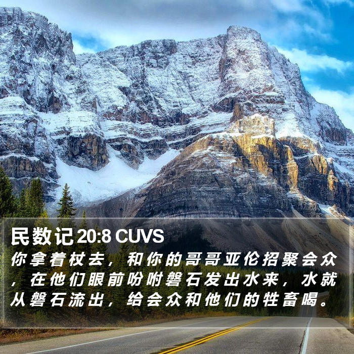 民 数 记 20:8 CUVS Bible Study