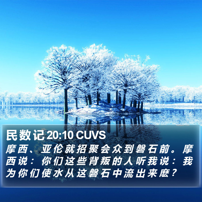 民 数 记 20:10 CUVS Bible Study