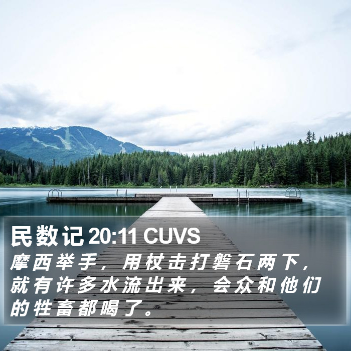 民 数 记 20:11 CUVS Bible Study