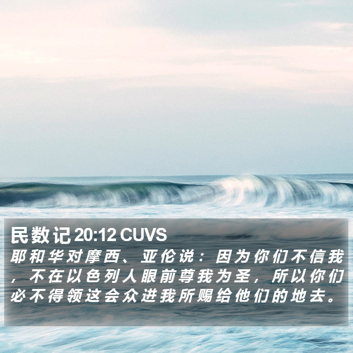 民 数 记 20:12 CUVS Bible Study