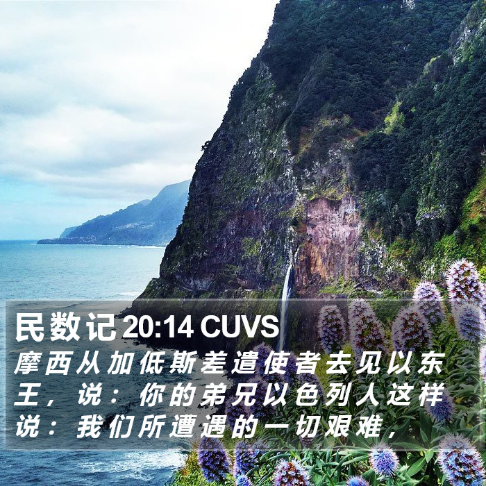 民 数 记 20:14 CUVS Bible Study