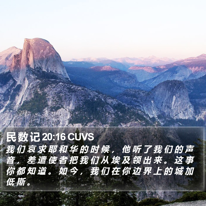 民 数 记 20:16 CUVS Bible Study