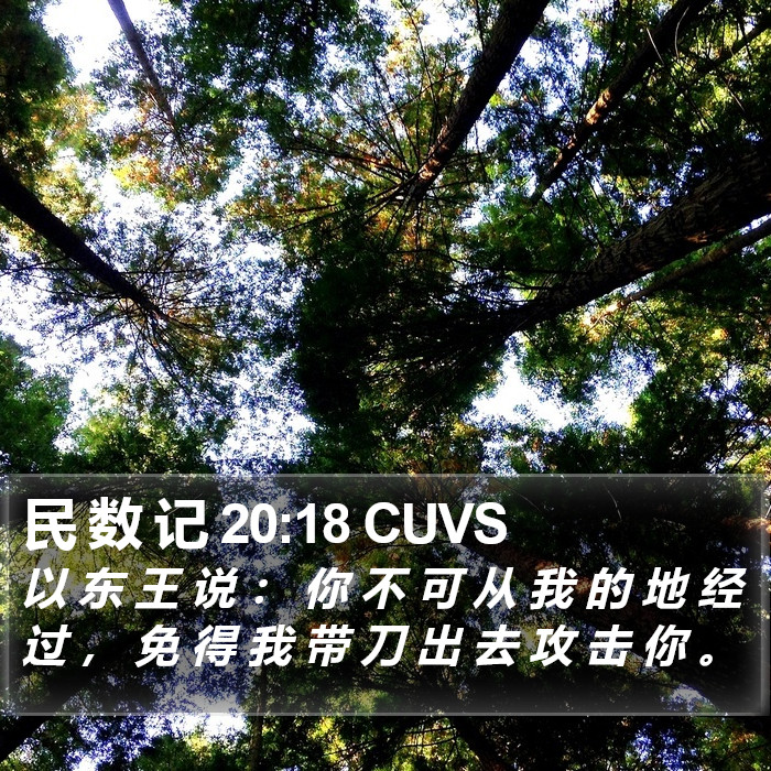民 数 记 20:18 CUVS Bible Study