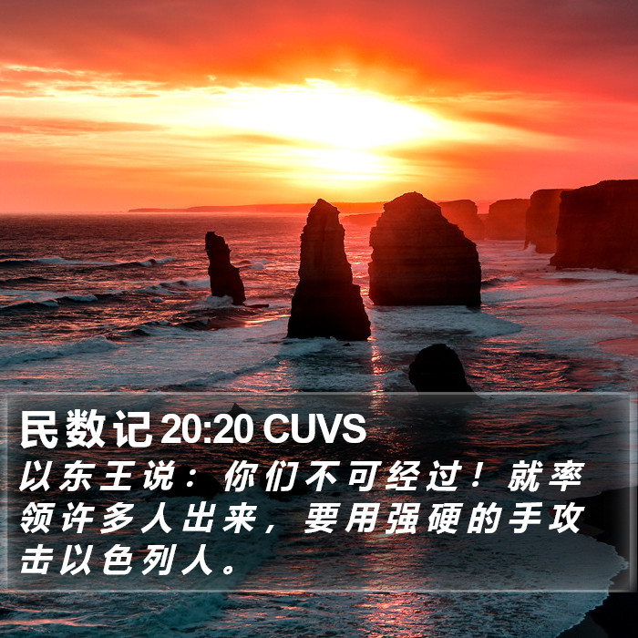 民 数 记 20:20 CUVS Bible Study