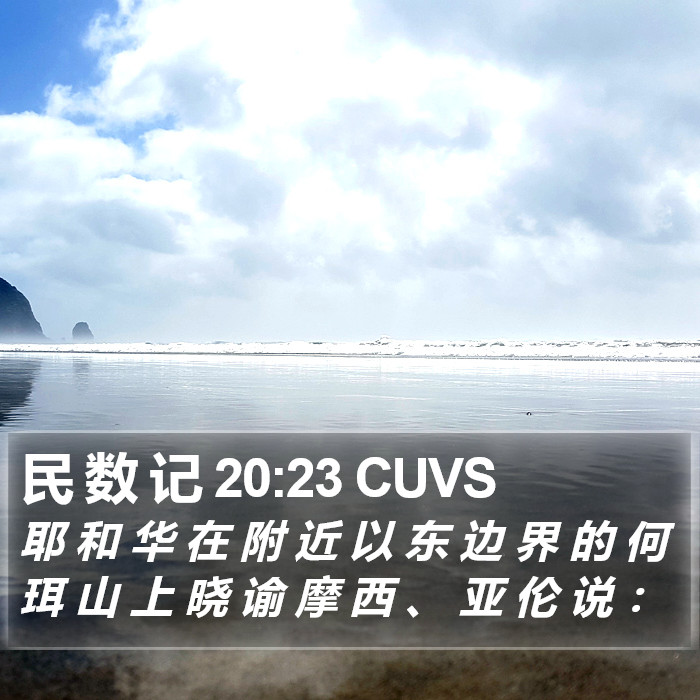 民 数 记 20:23 CUVS Bible Study