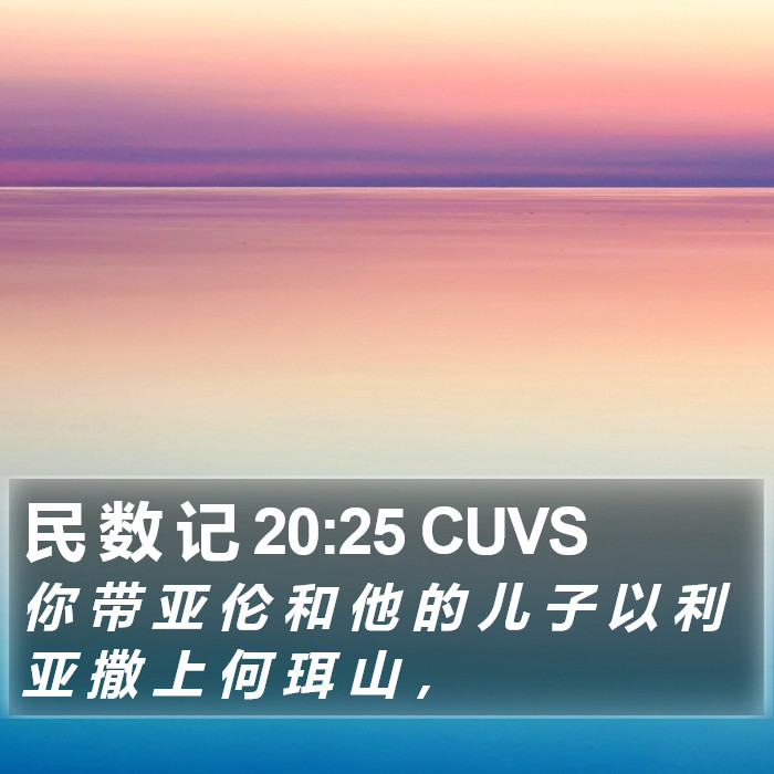 民 数 记 20:25 CUVS Bible Study