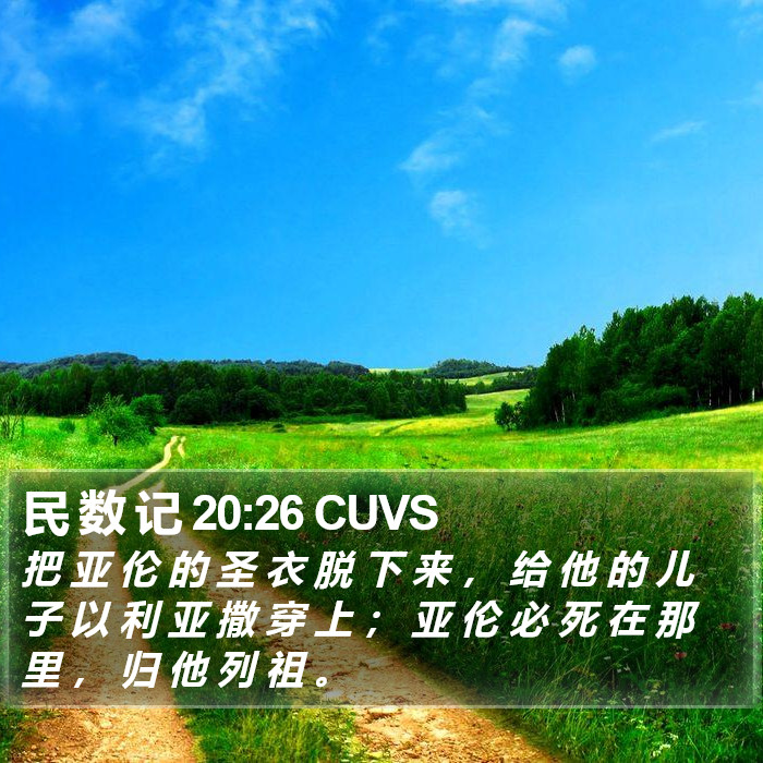民 数 记 20:26 CUVS Bible Study