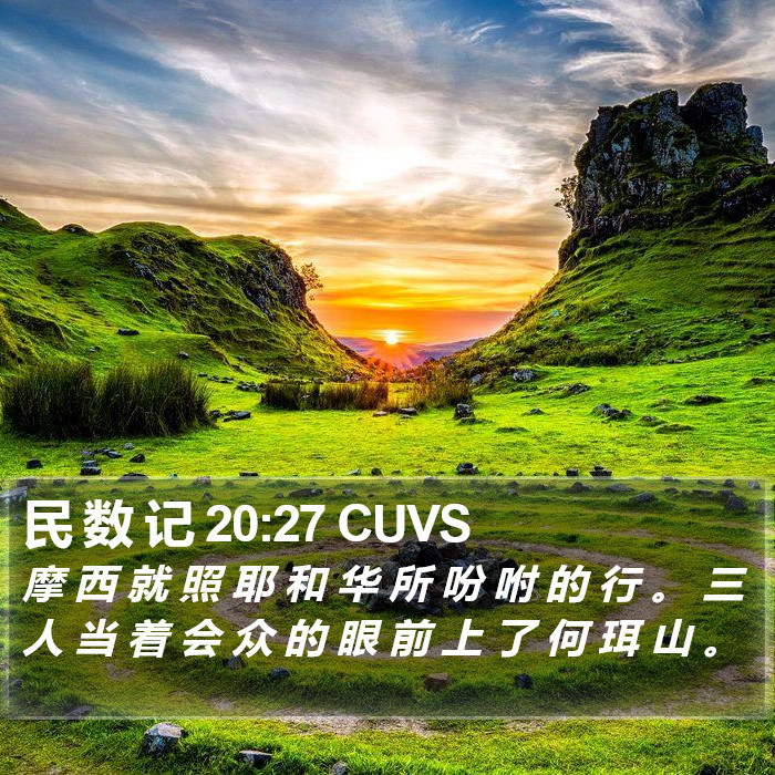 民 数 记 20:27 CUVS Bible Study