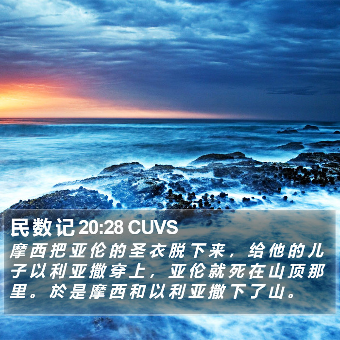 民 数 记 20:28 CUVS Bible Study