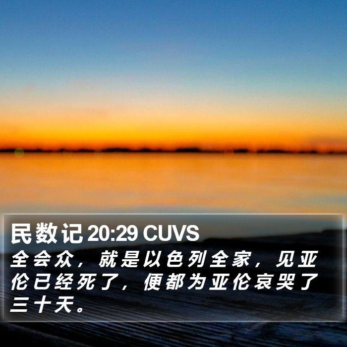 民 数 记 20:29 CUVS Bible Study