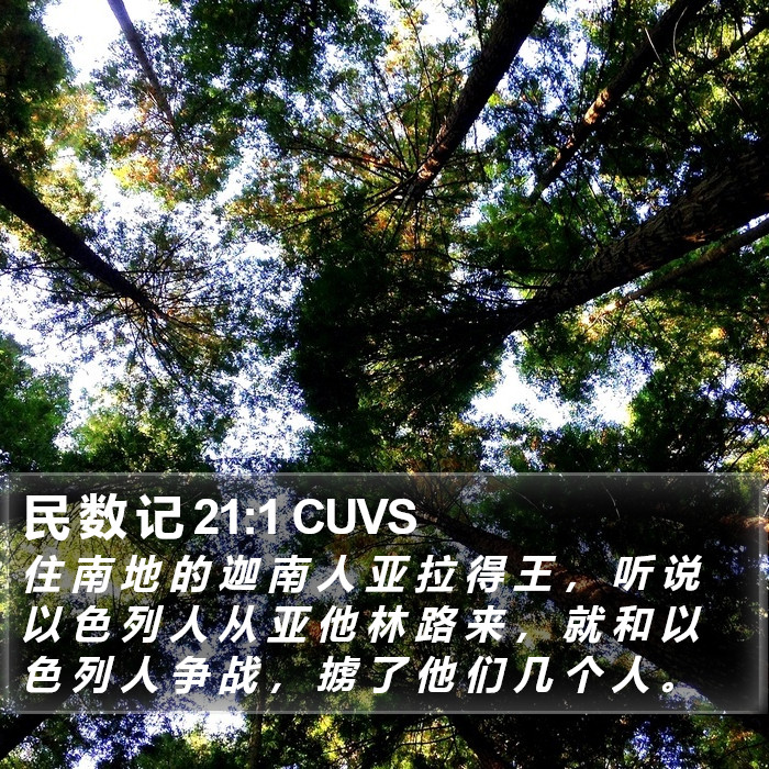 民 数 记 21:1 CUVS Bible Study