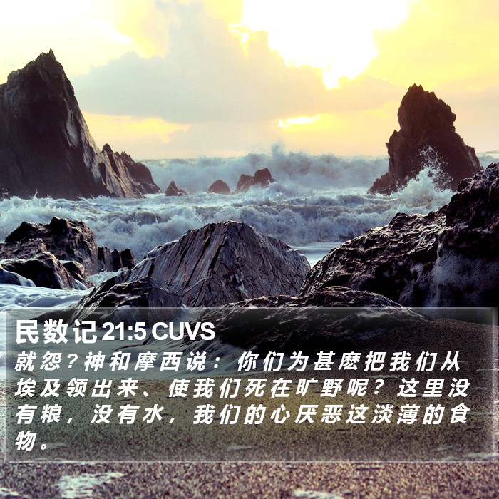 民 数 记 21:5 CUVS Bible Study