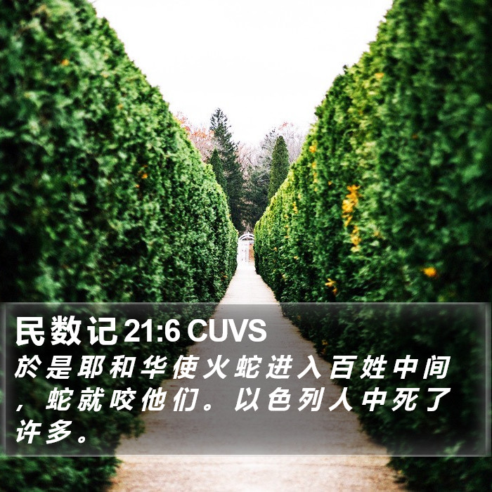 民 数 记 21:6 CUVS Bible Study