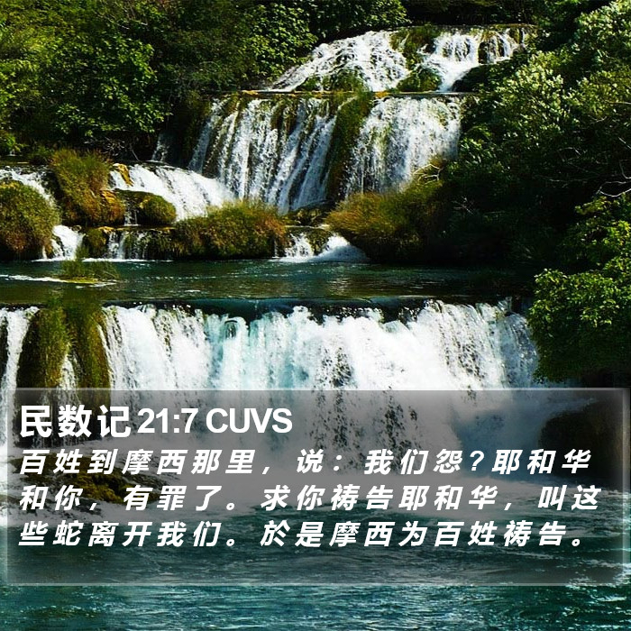 民 数 记 21:7 CUVS Bible Study