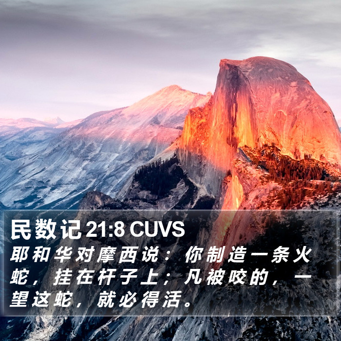 民 数 记 21:8 CUVS Bible Study