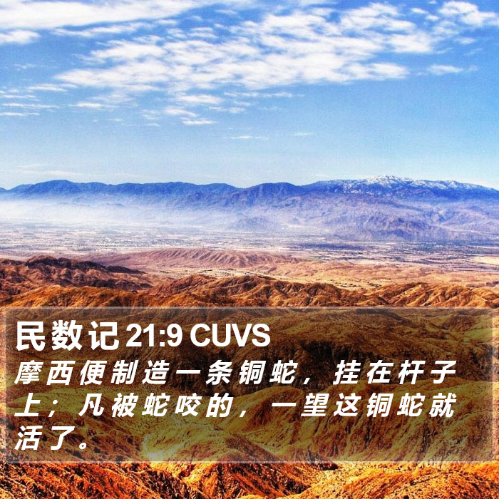 民 数 记 21:9 CUVS Bible Study