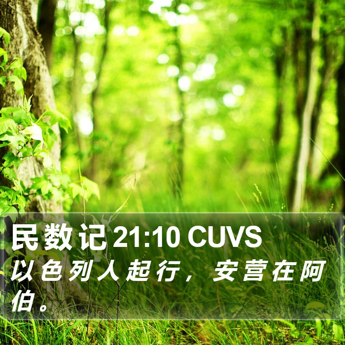 民 数 记 21:10 CUVS Bible Study