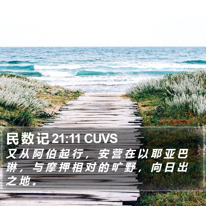 民 数 记 21:11 CUVS Bible Study