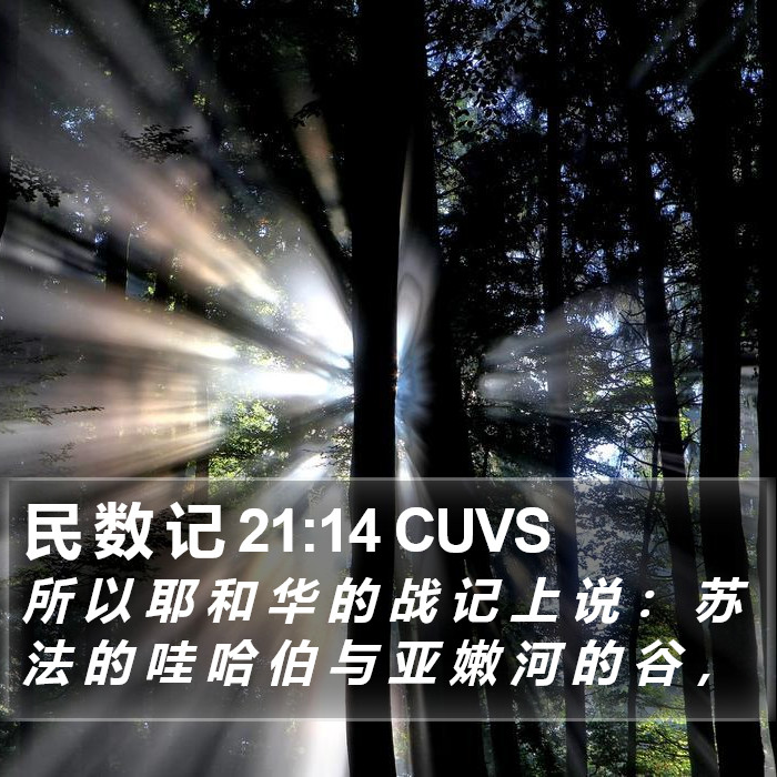 民 数 记 21:14 CUVS Bible Study